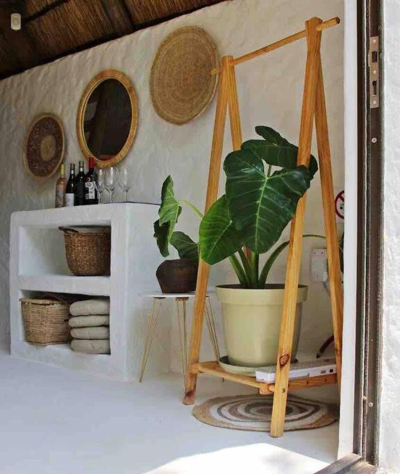Hot Spring Bungalow In Limpopo Gemsbokfontein Экстерьер фото